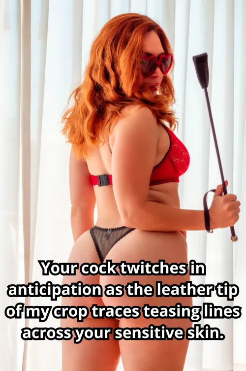 The sharp crack of my whip against your flesh is a reminder that your pleasure is entirely in my hands. [No Imagefap] by MaiaRedhood