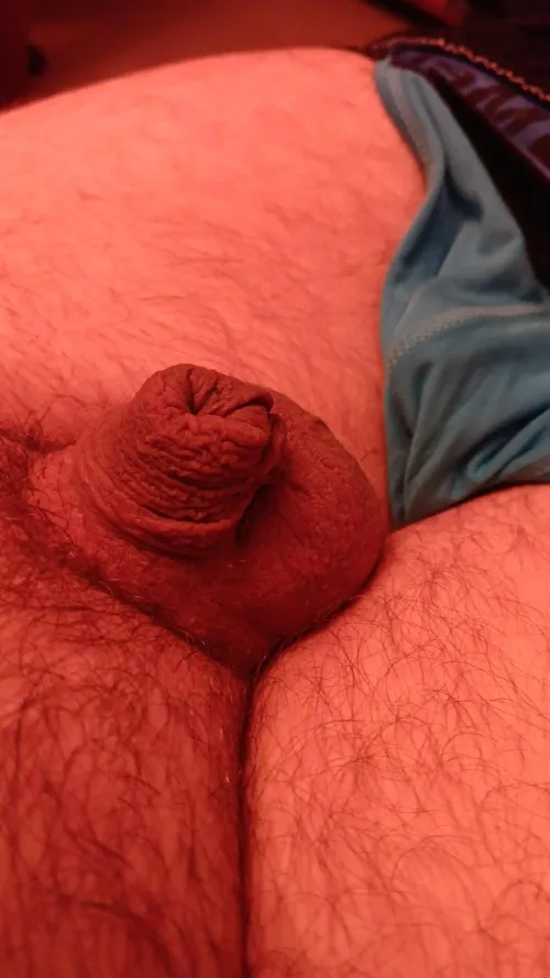 Let's have ya thoughts by Ok_Pin2187