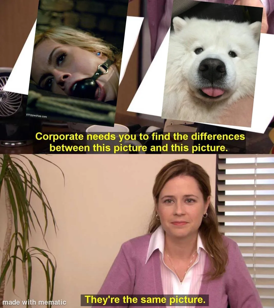 Pets are cute when they mleep thank you for coming to my TED Talk posted by ThrowawayXXX69lol