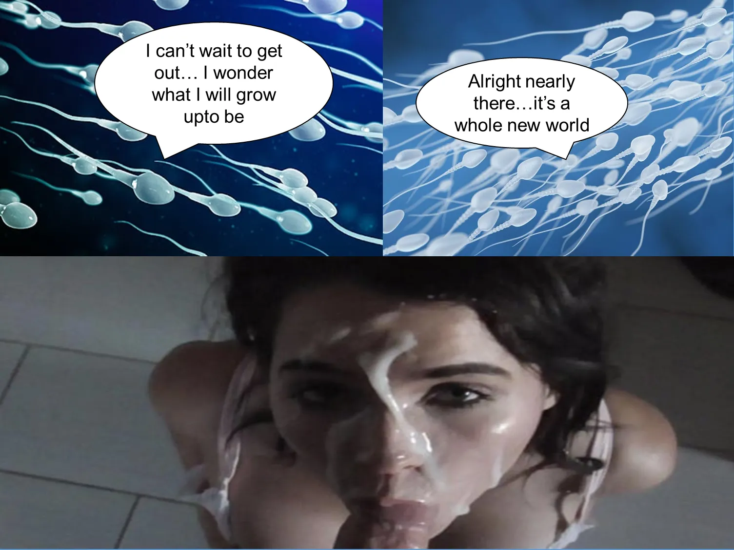 right there.... posted by DildoBangem