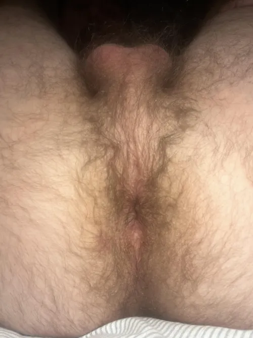 Looking for licks by midwestotter25