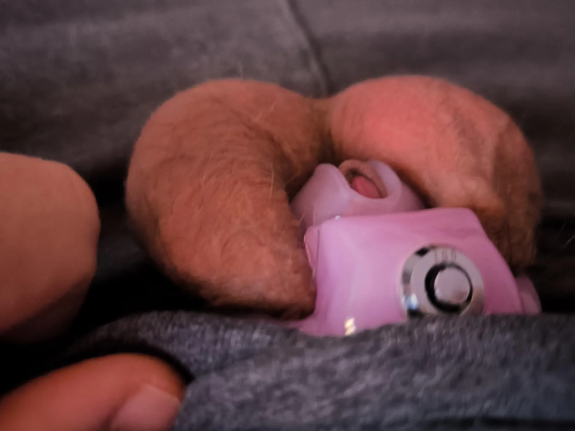 No touching for tonight :p posted by SnowOk9179