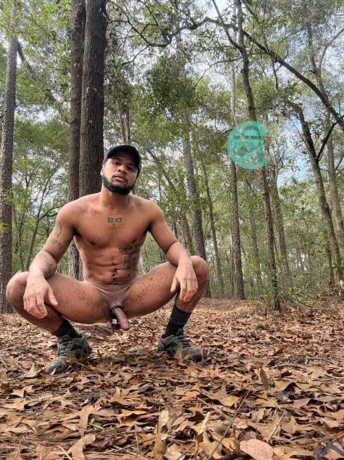 Woods 🪵 by Aka_yucahu