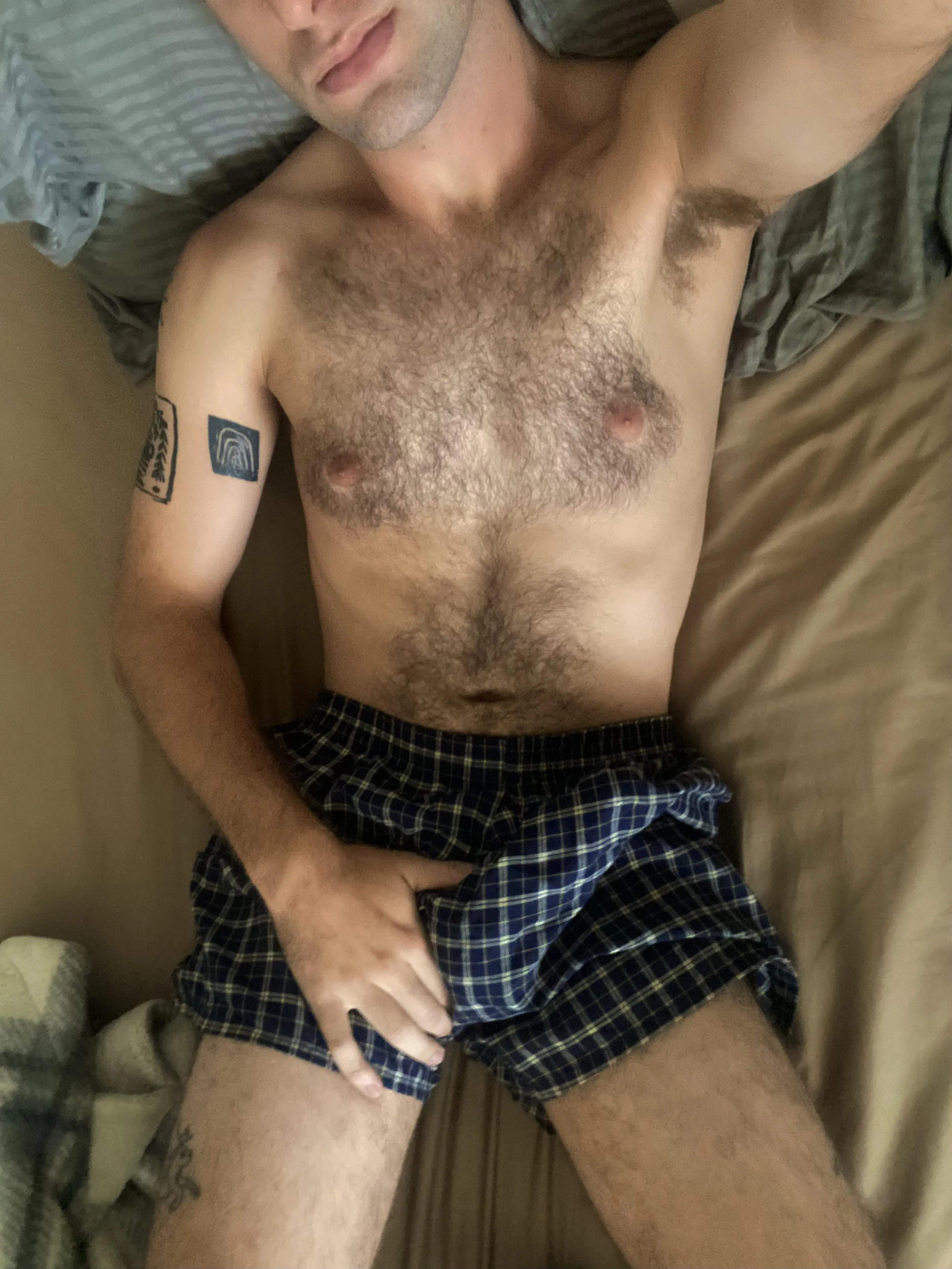 Breakfast in bed? posted by RexInlandEmpire