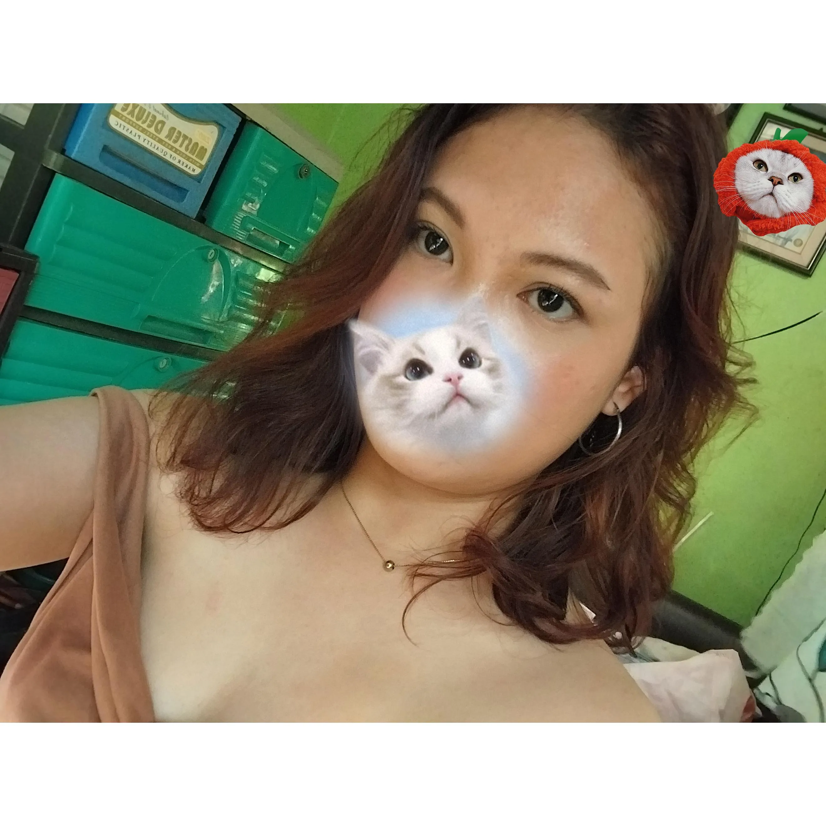 hii 🐈 posted by jjuicyca