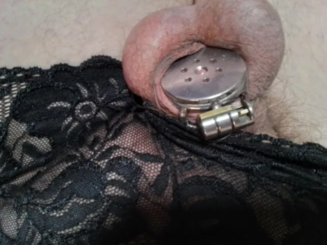 New panties! I have 5 different colors. by Aggressive_Toe6267