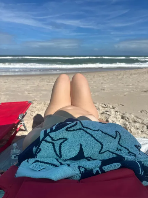 Current situation by Fluffy-Picture-2367