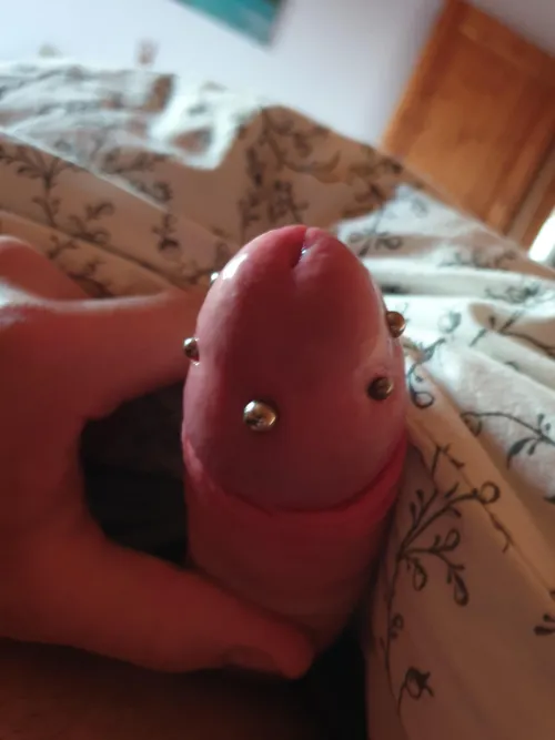 4 Days Post apadravya Piercing by That-Flatworm-6528