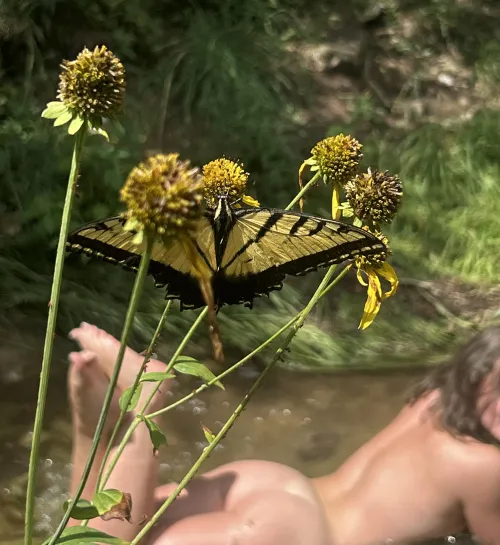 Can’t wait for summer!! by TinygymPAWG