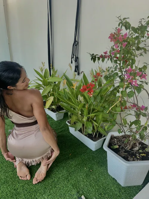 Do you agree that soles are better than toes by TanjaWillink