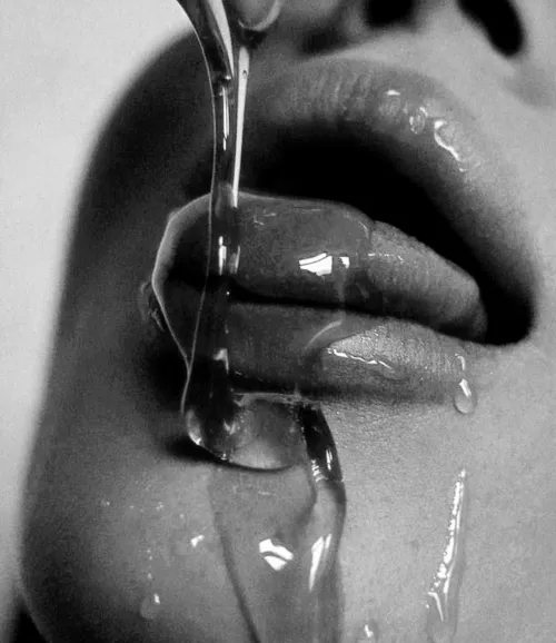 FOR you PET by Bella-Torrente