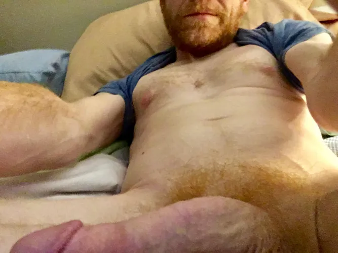 Local Gingers by HandbagCrooner