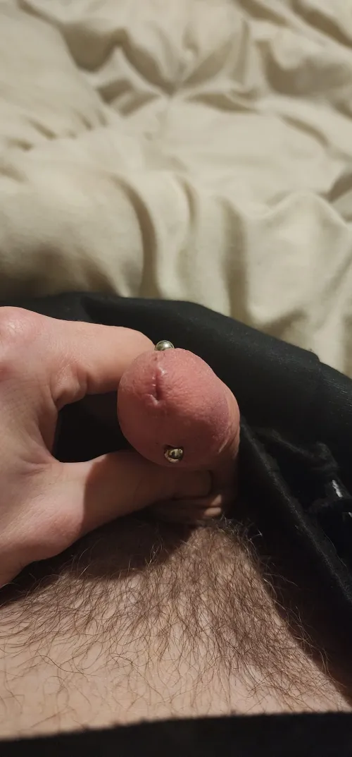 2.4mm apadravya 1month old by Timely_Constant6085