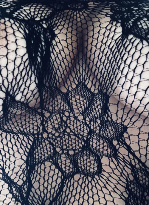 Nexus by Fragrant_Ad7220