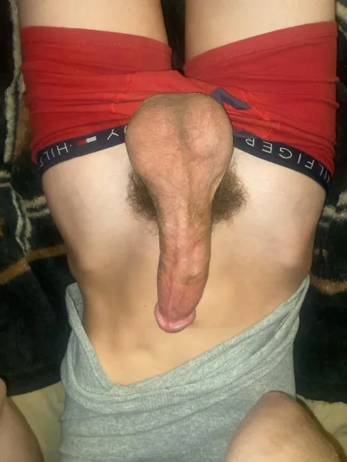 [19] my balls are huge by Upbeat-Resource1465