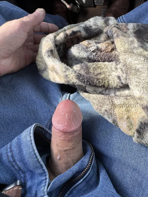 Driving the big trucks by Snoo_13856