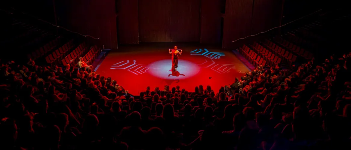 Obsessed with this photo from the Sydney show of the Kinky History tour! by evanadelune