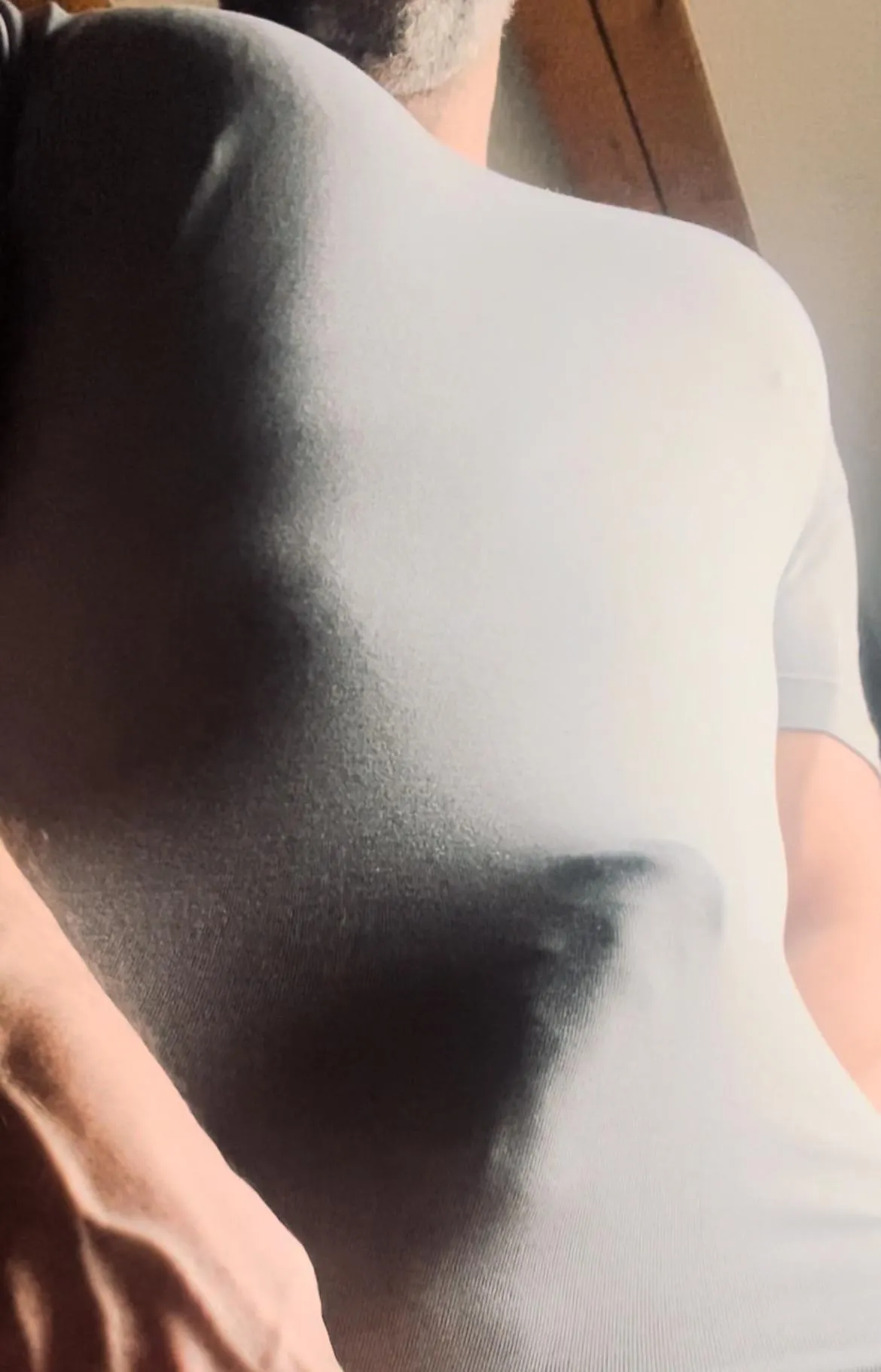 Something’s shaping up… posted by CryptographerBig2790