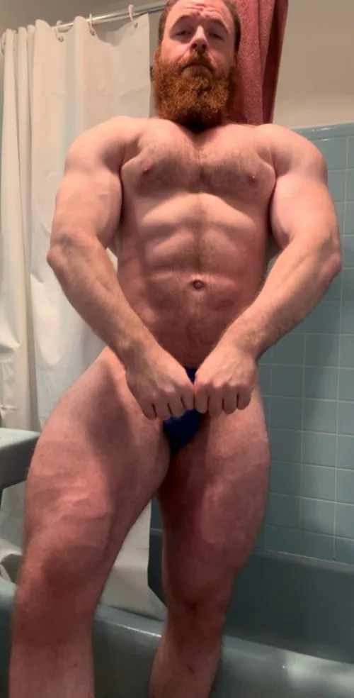 Bulk day 2. 270-something by pec_inspector