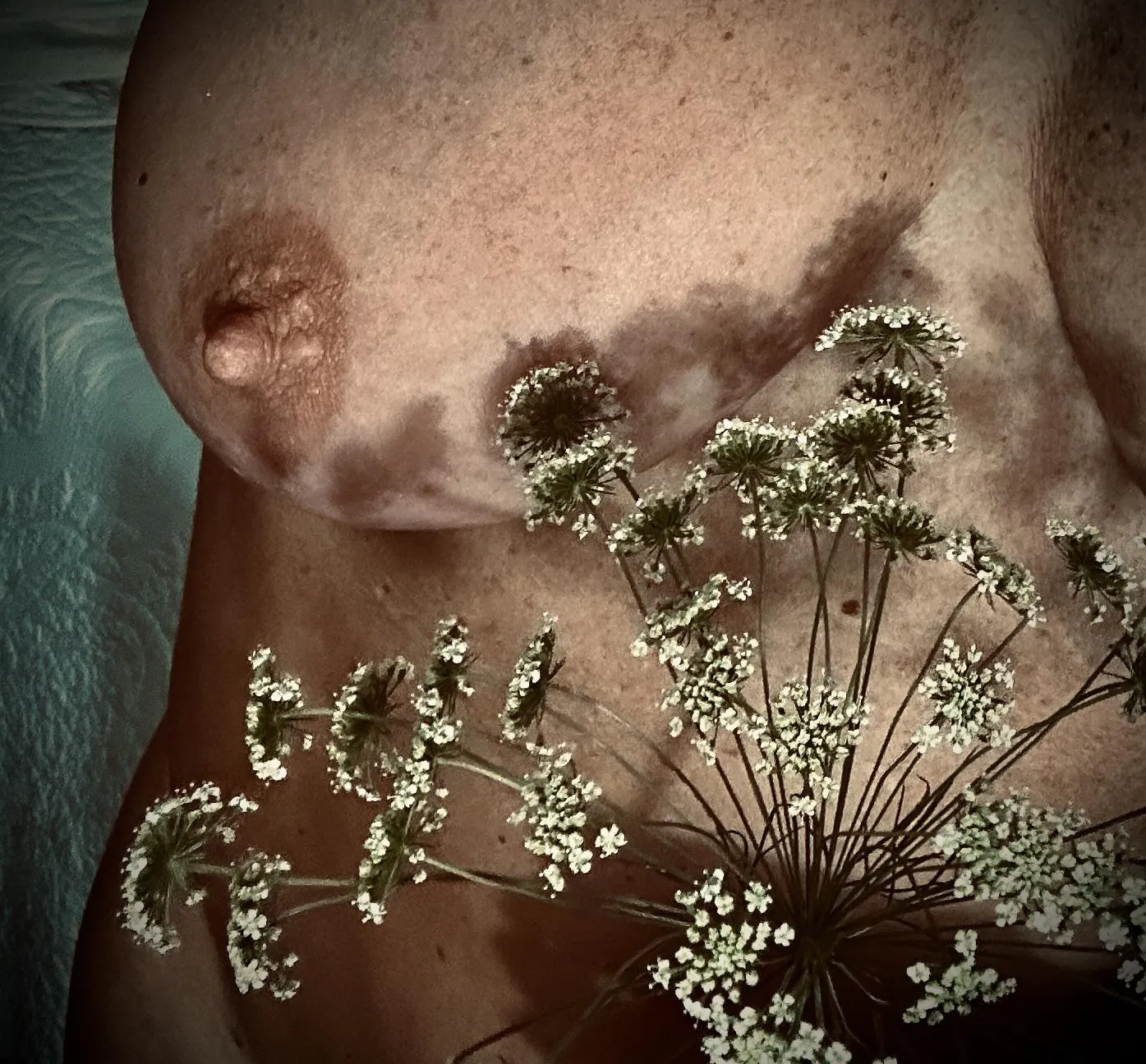 Lace posted by Prudent_Rent_2265