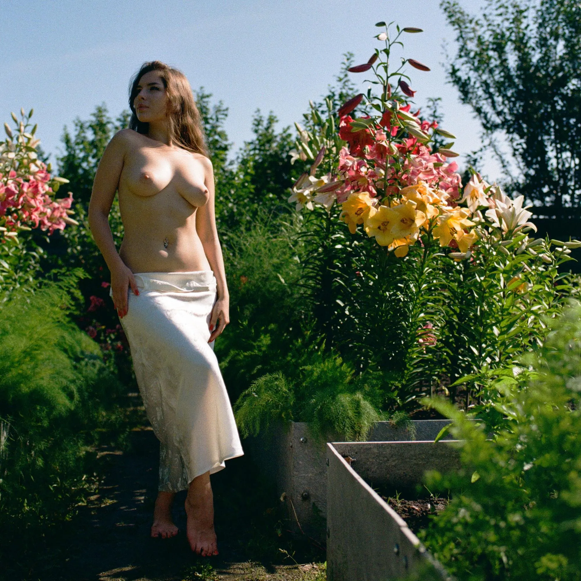 Elena. Lilies posted by elcansky