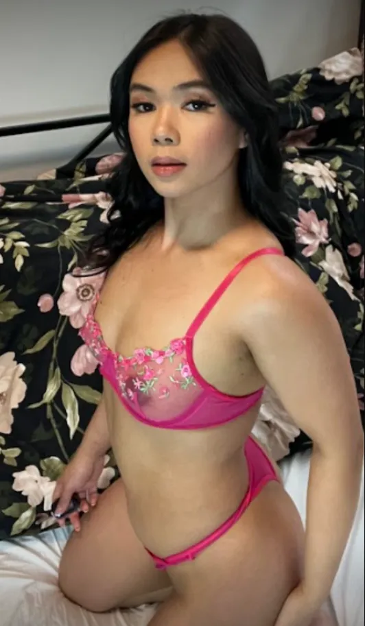 If I were your sister's friend, would you attempt to fuck me? posted by Christine_fem