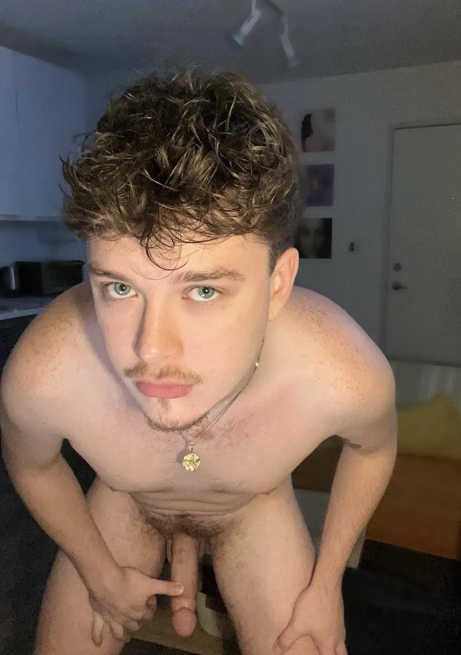 would you let me use you if we were neighbors? posted by South-Airline