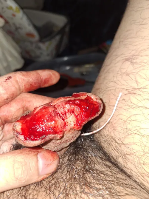 Go big or go home I guess? by LethalWalkingStick