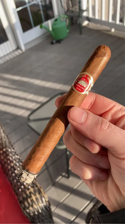 nice majestic by jxkq01