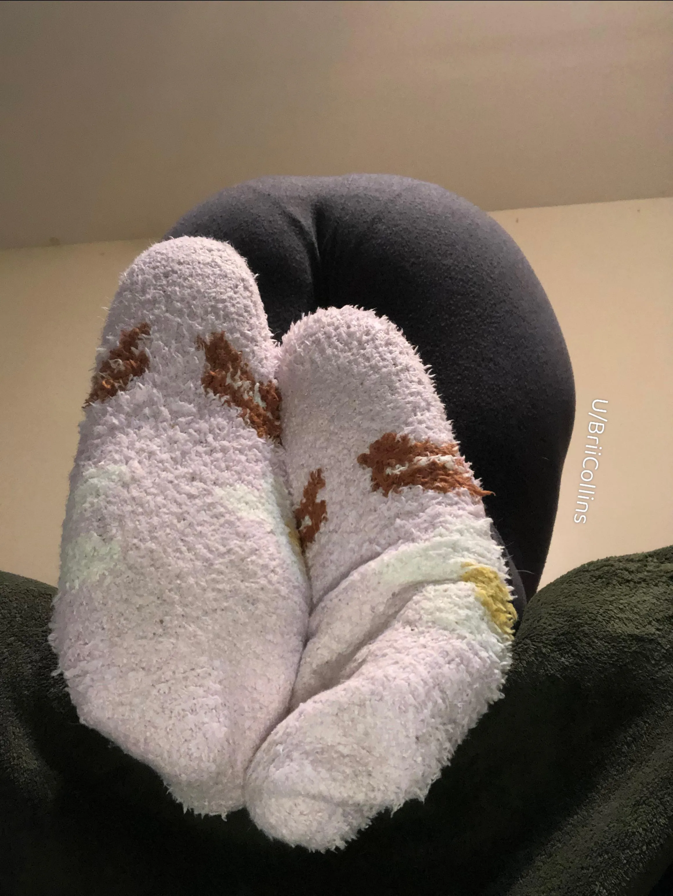 Fuzzy and comfy! ☺️😍 posted by BriiCollins