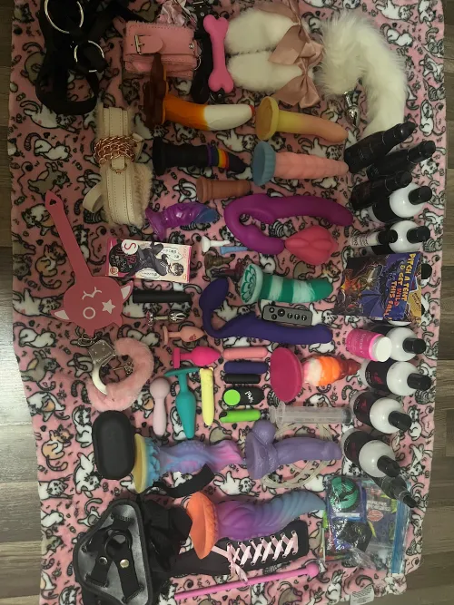 My collection!!!💕💕🤭(mostly non bad dragon but idk where else to post lol I’m proud) by ijustwantraricopypas