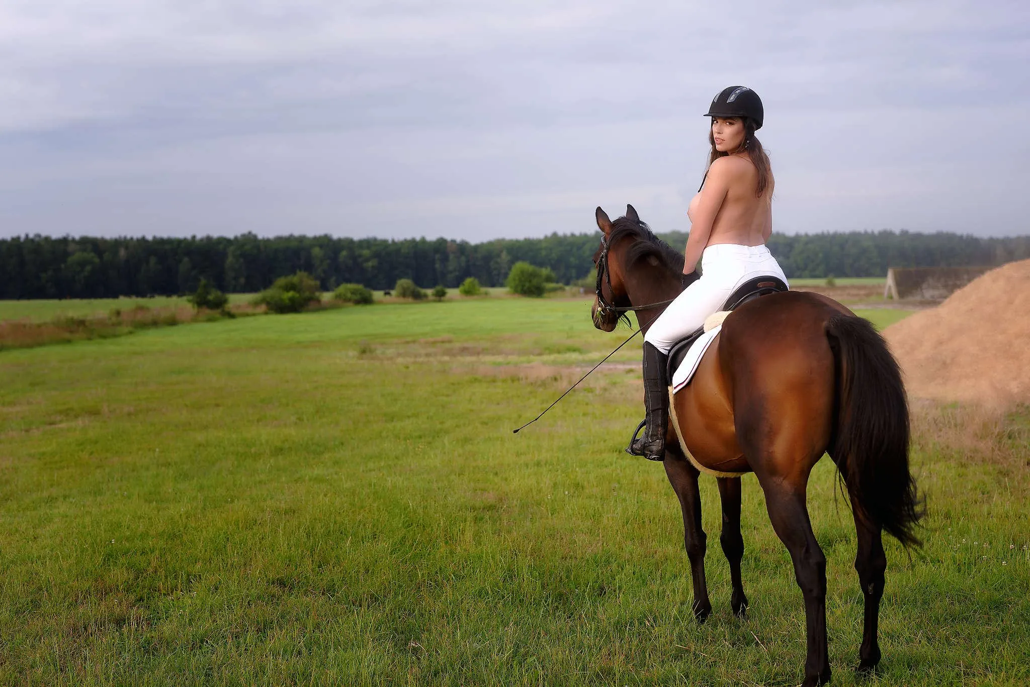 Happy neighborhood posted by Domiiscz