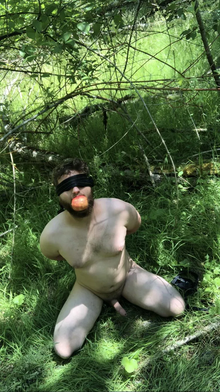 Waiting in the woods posted by DeepDarkWood9