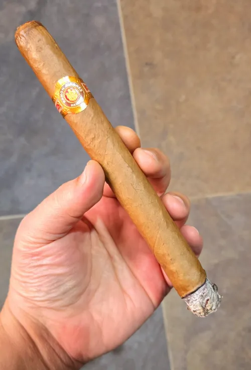 The Warrior King's older brother by Remarkable-Ad3414