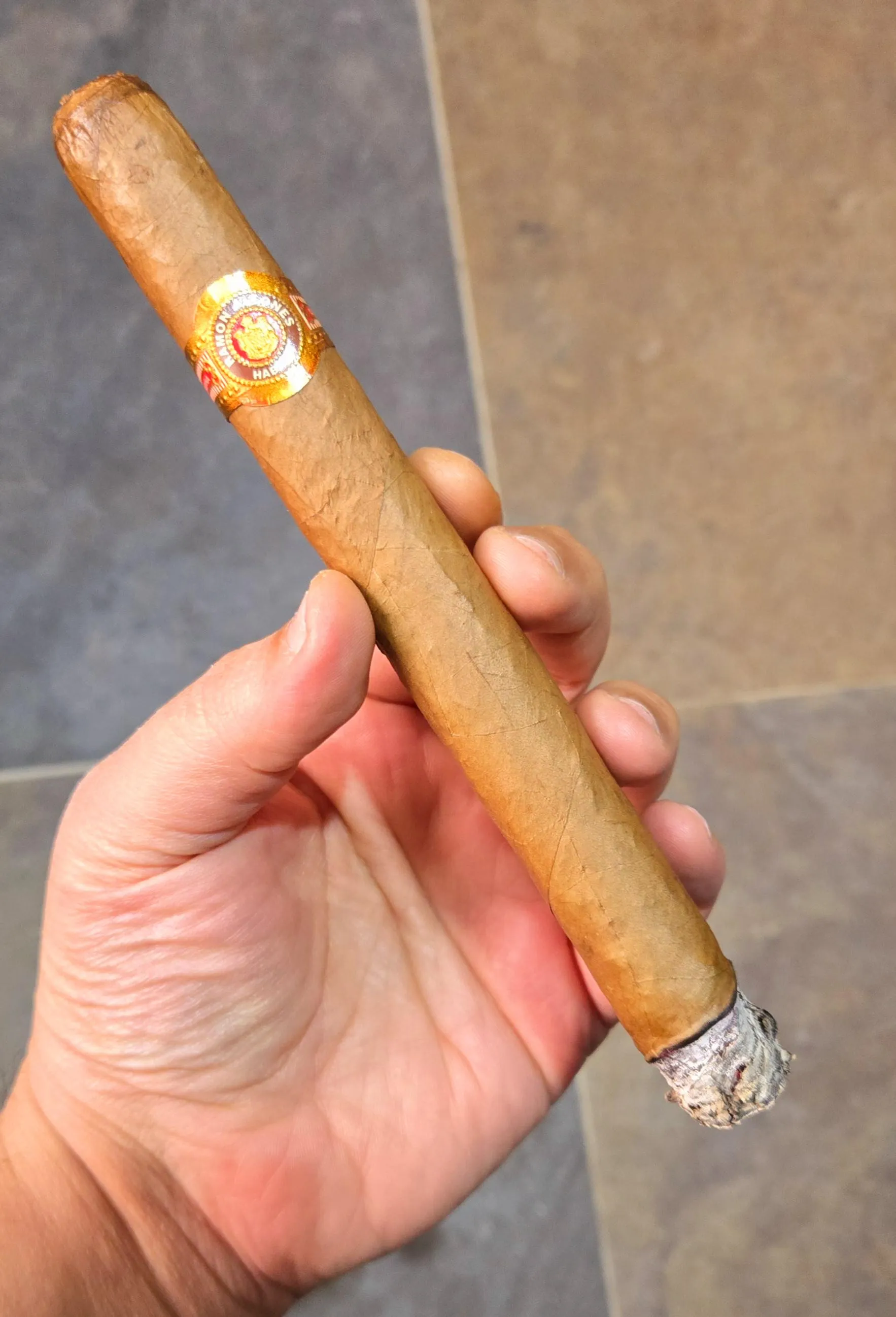 The Warrior King's older brother posted by Remarkable-Ad3414