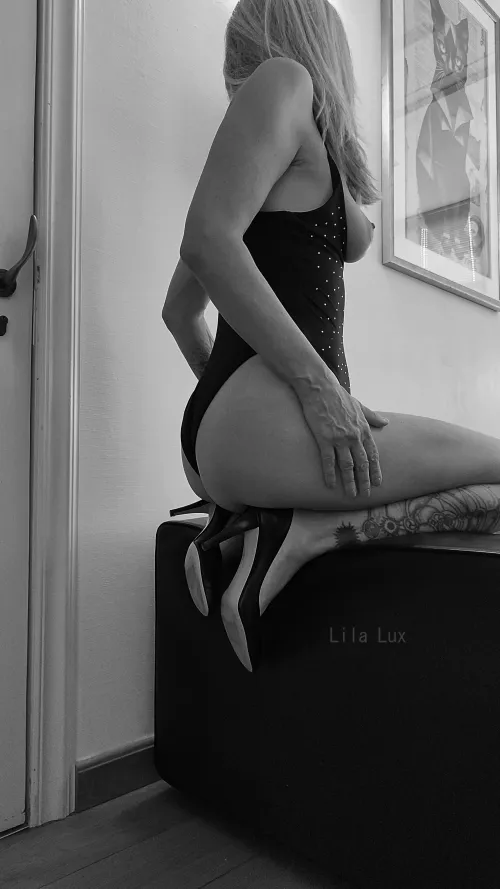 F51. Sitting pretty. by lilaxlux