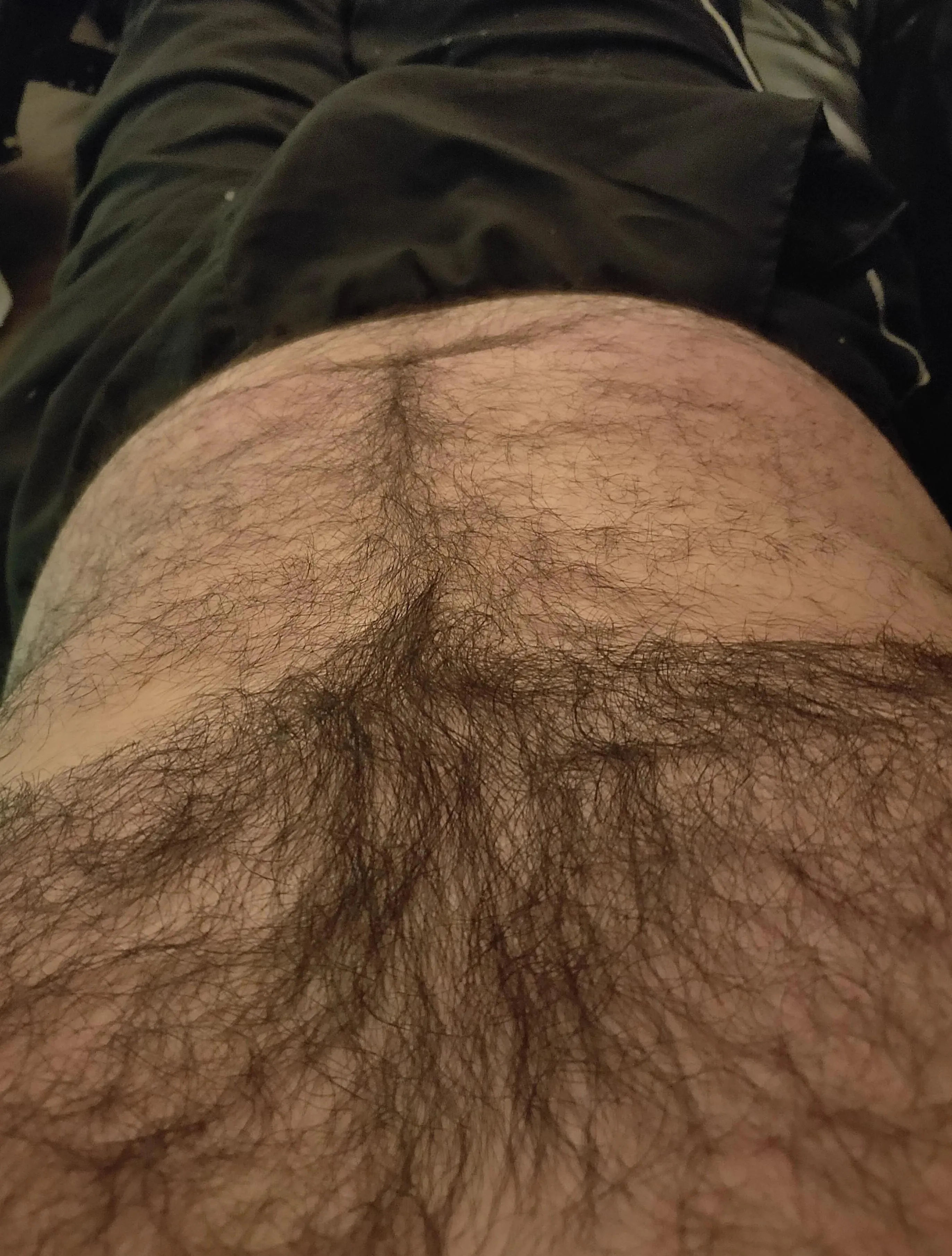 In from a few drinks posted by HairyDiplodocus