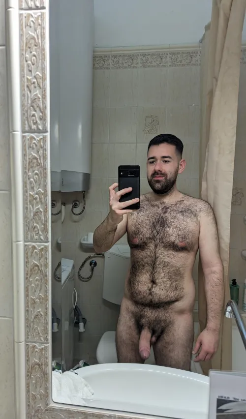 let's not beat around the bush by light_hunt