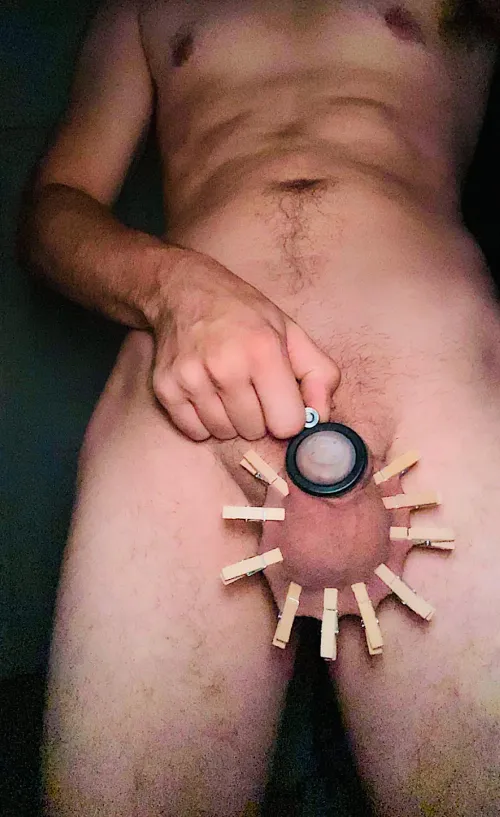 Rip off the clothes pins and beat them till they are swollen in the cage by AlphaNFemme1