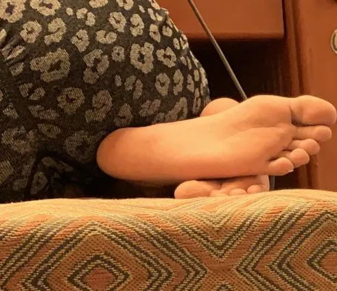 You like them? posted by Ok-Brilliant5189