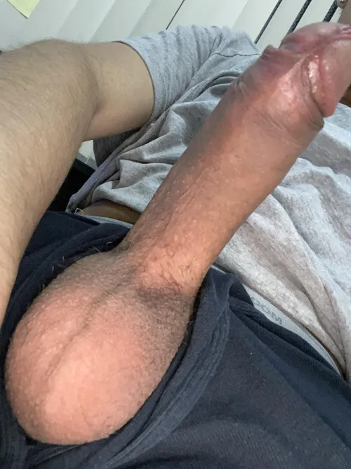 18 m Dutch by Perfect-Site-1832