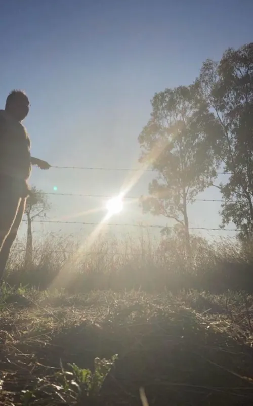 Morning sunshine by Funandenjoyment