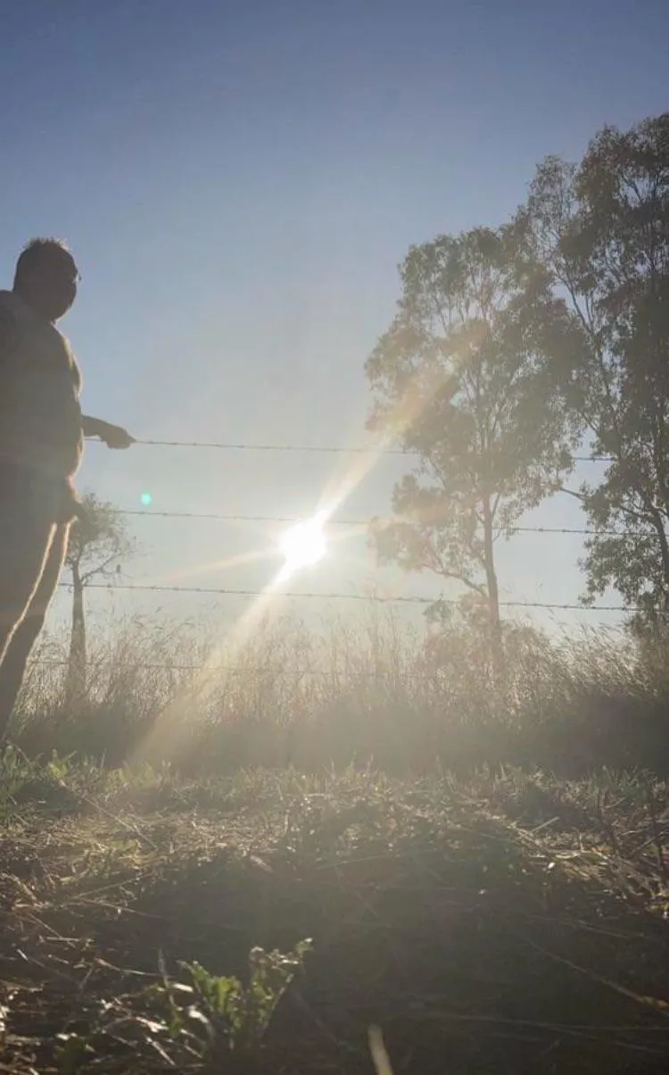 Morning sunshine posted by Funandenjoyment