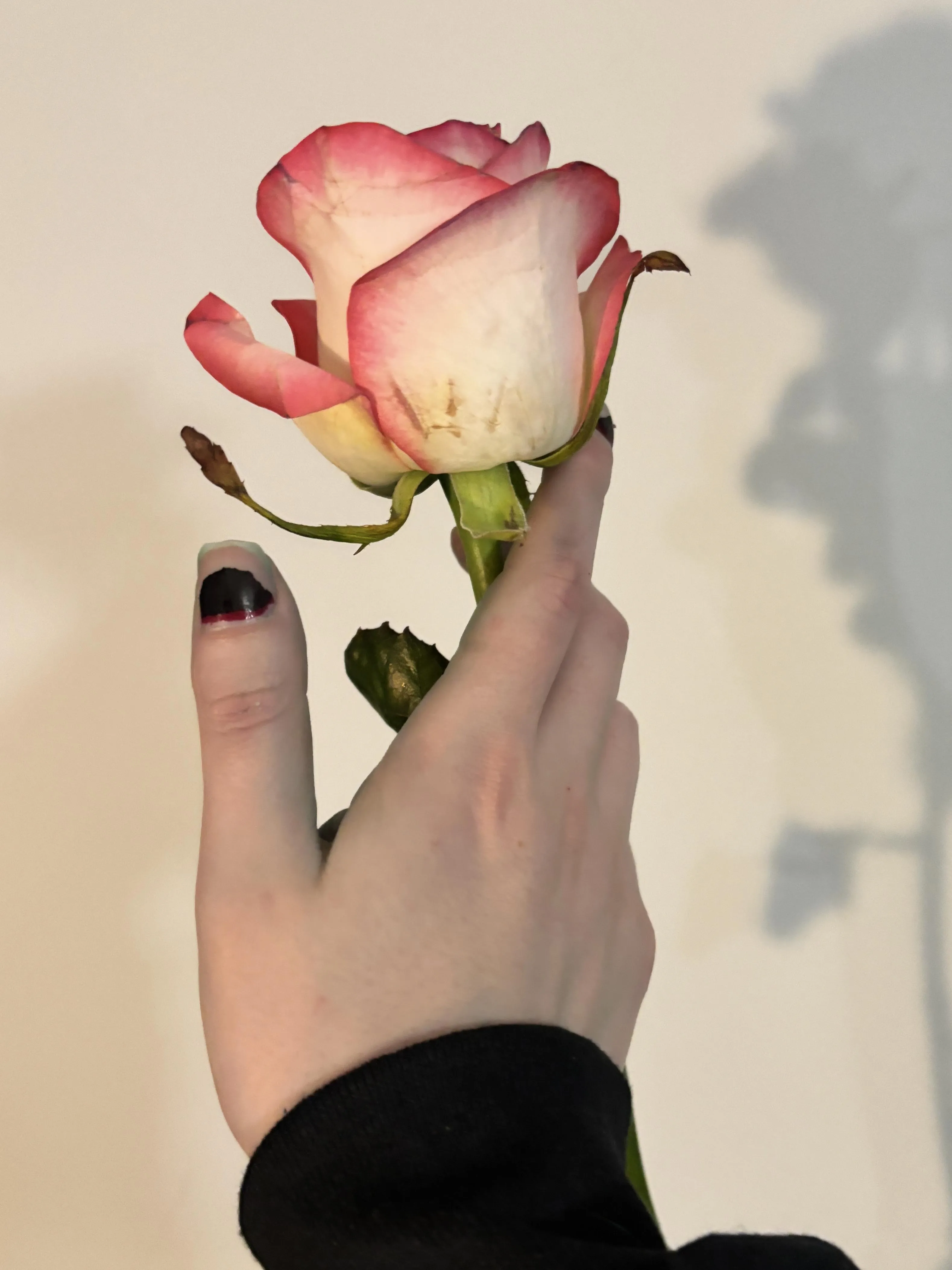 Pretty as petals posted by sirenskiss3