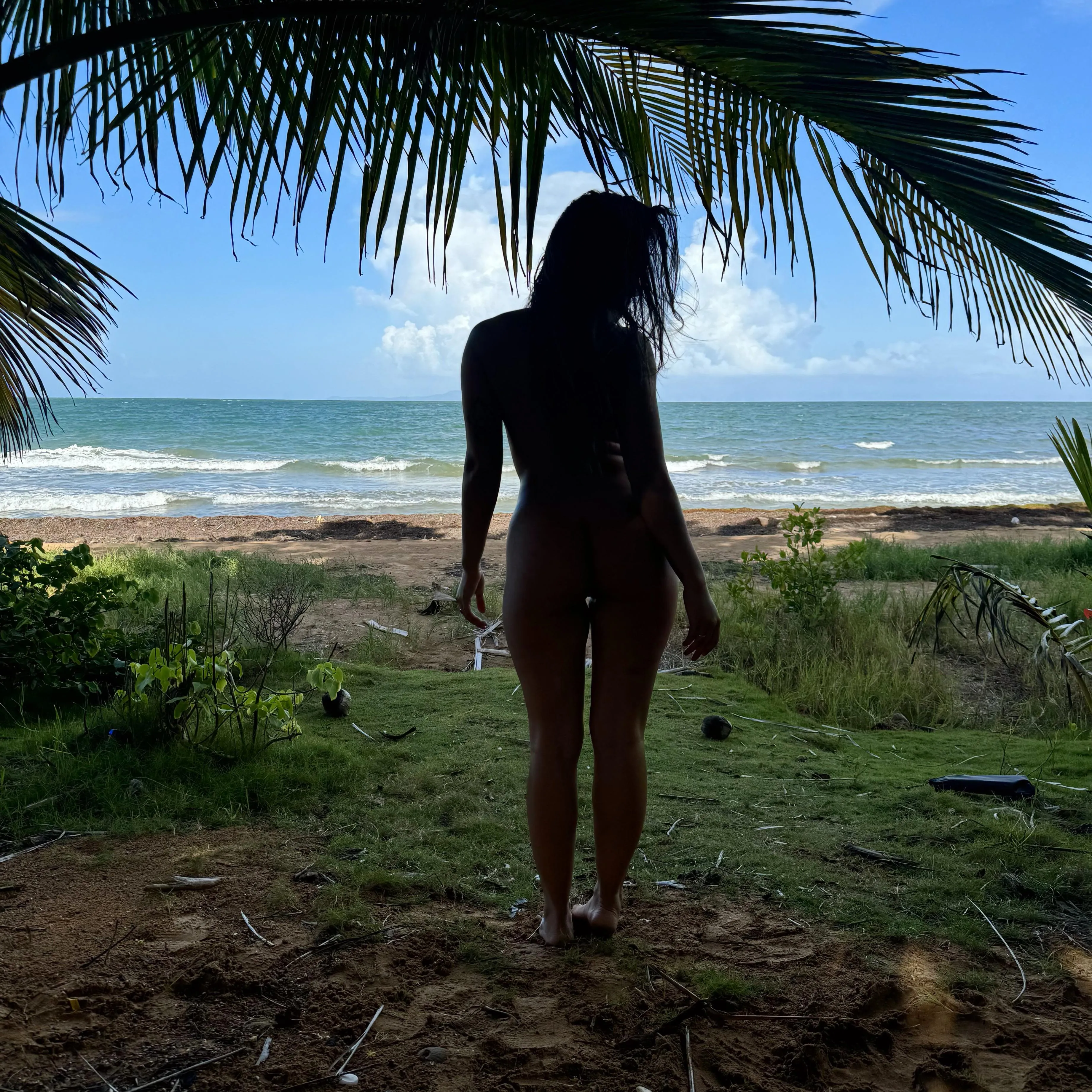 Tropical Physique posted by Marexplores