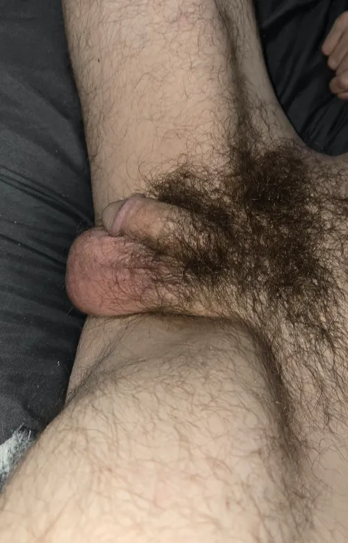 Furry guys allowed here? (40) by After-Zone5288