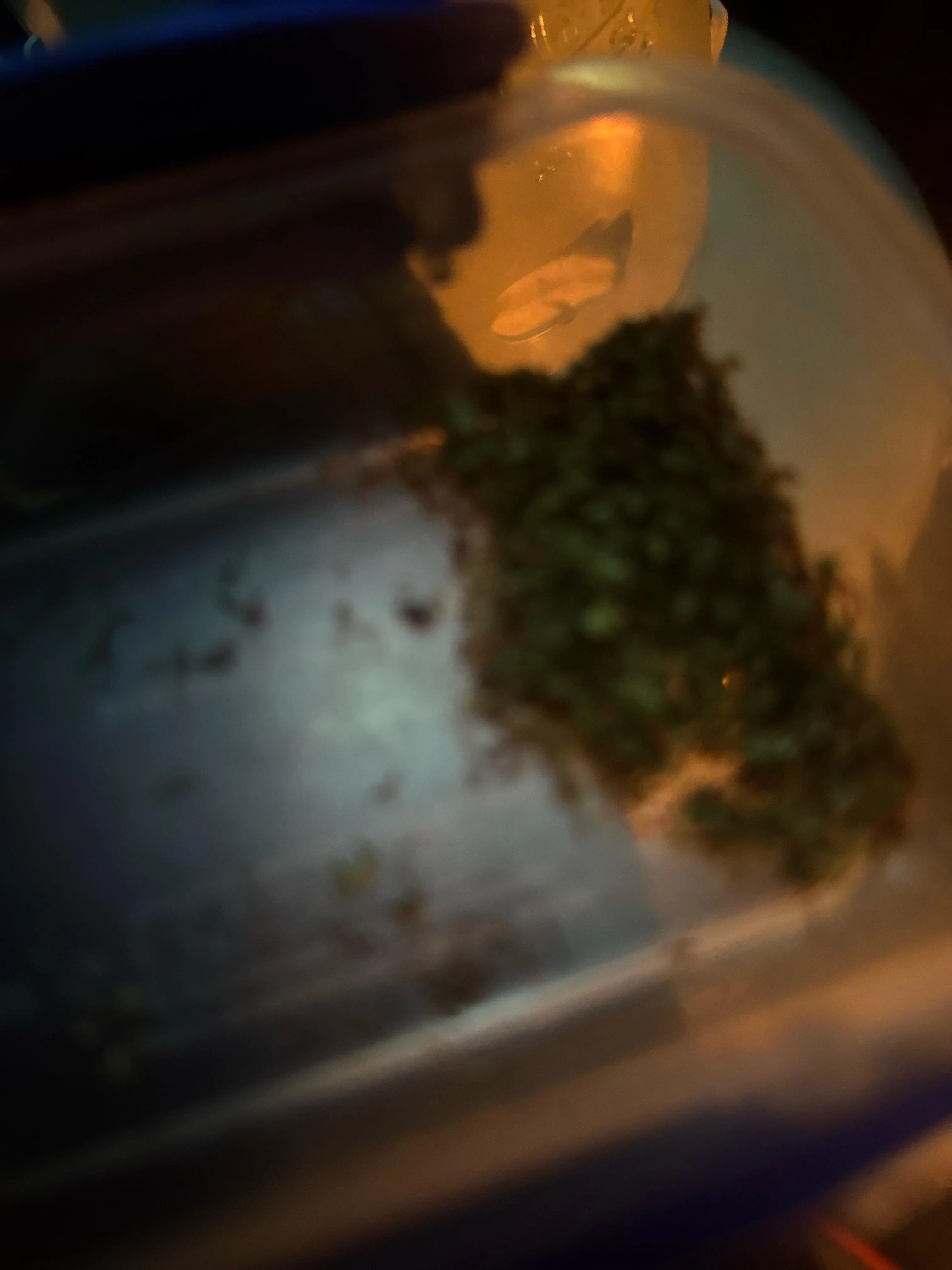 M 24 Any f near Clifton Keen I’m horny asf posted by Ok-Fail8648