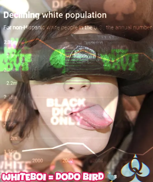 Declining white birth rates is a cause for celebration. Long Live the BNWO!!! by [deleted]