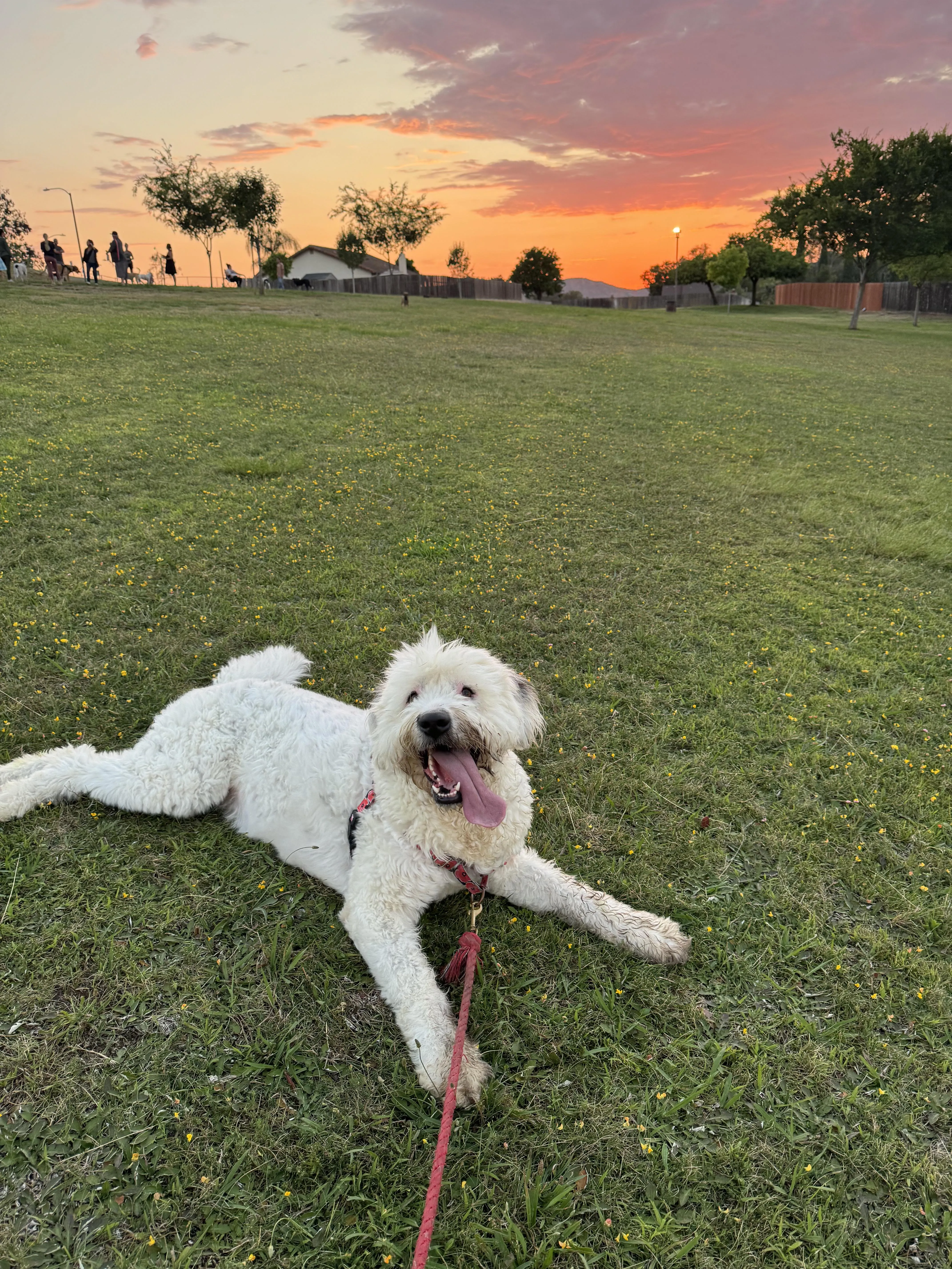 Single dude here for work posted by janetsdad