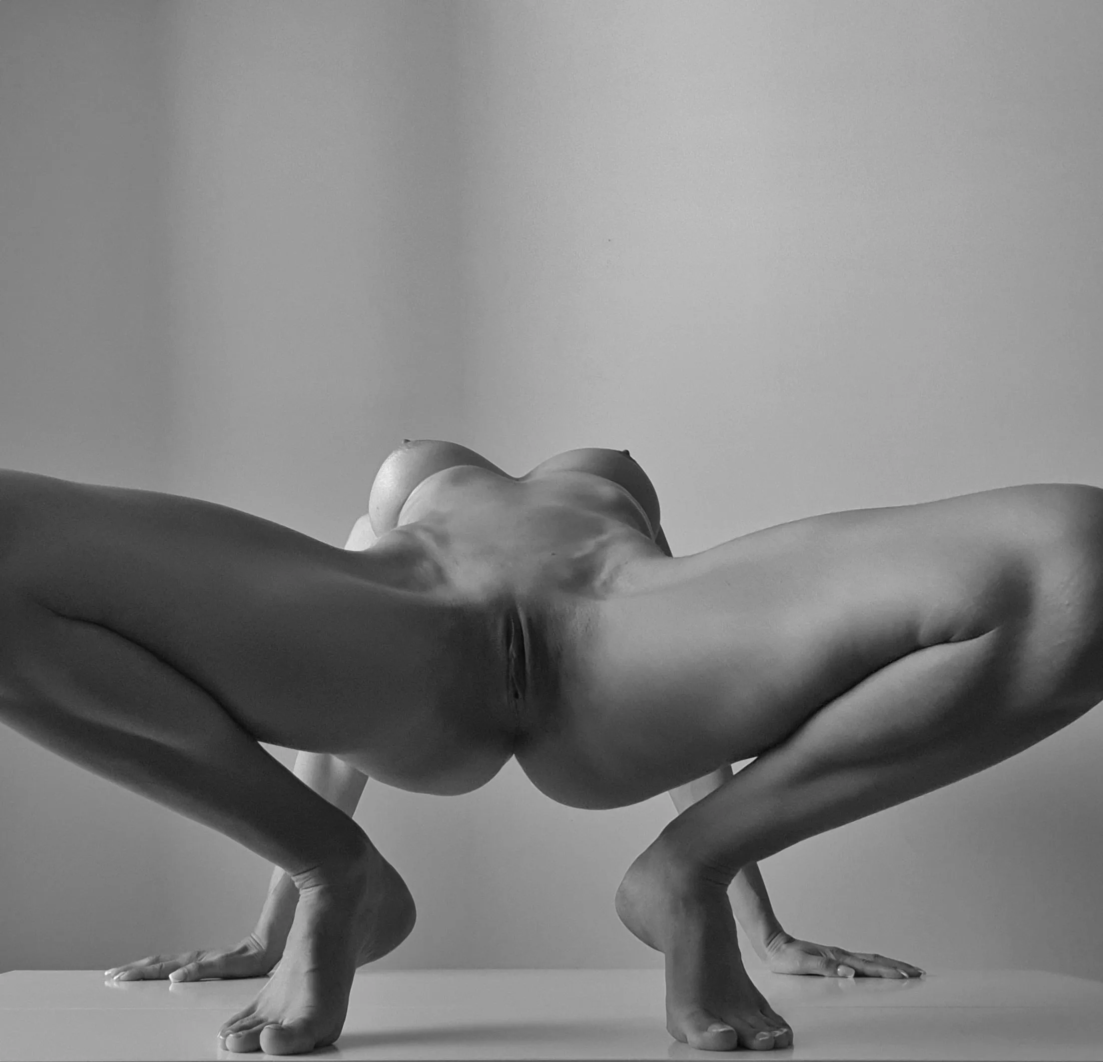 Almost symmetry posted by funbunnycouple